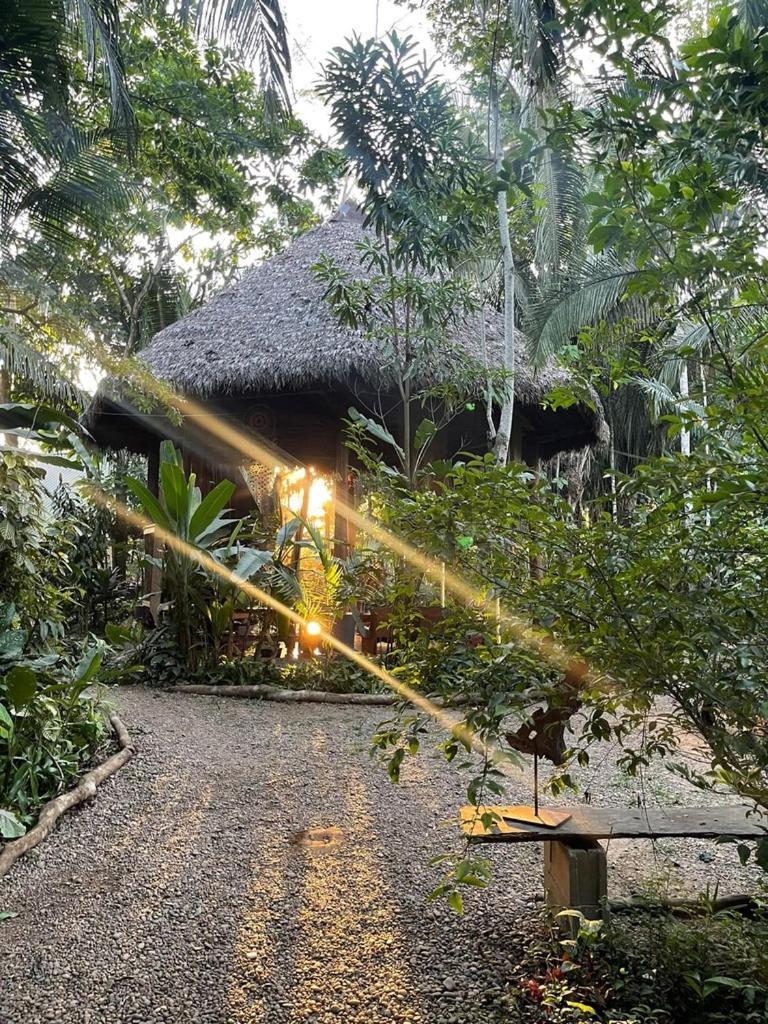 بويرتو مالدونادو Kapievi Ecovillage المظهر الخارجي الصورة